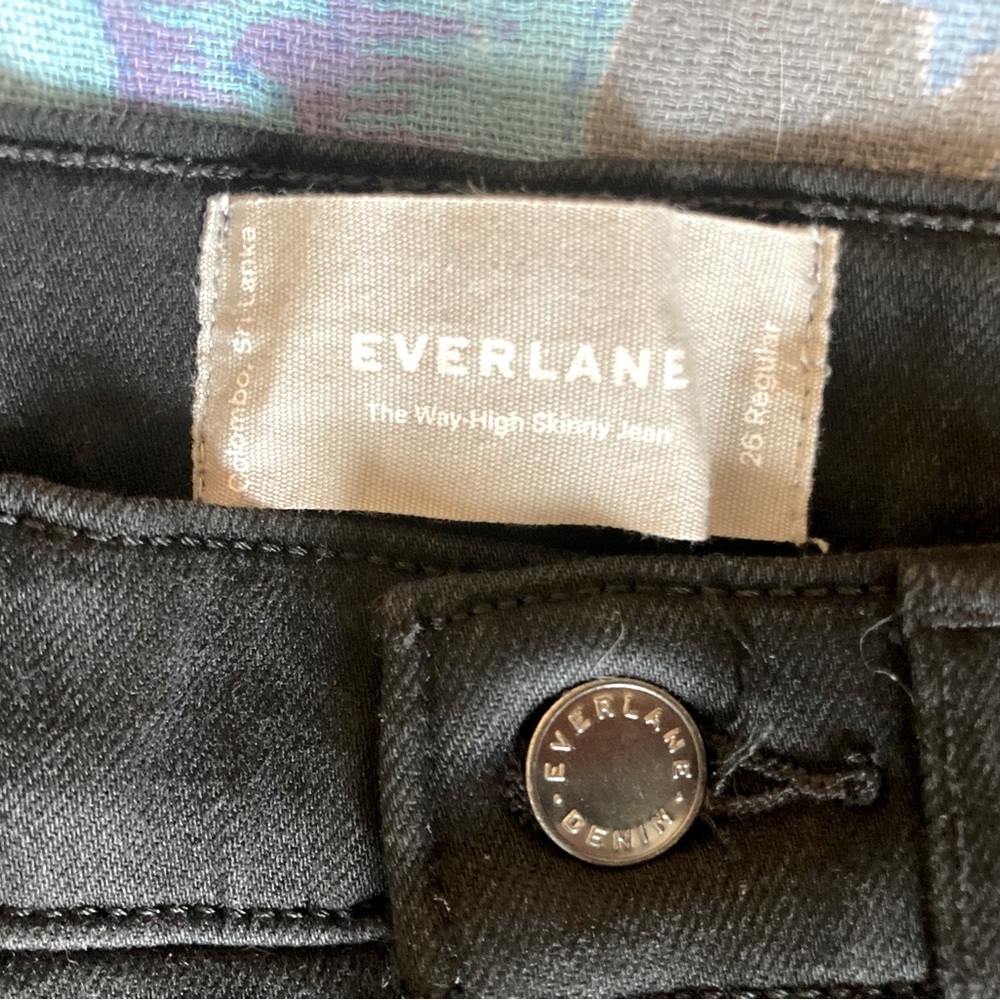 Everlane Way High Skinny Jean
